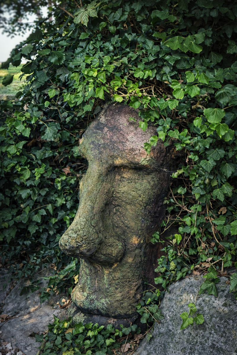 RAV.art.2009011